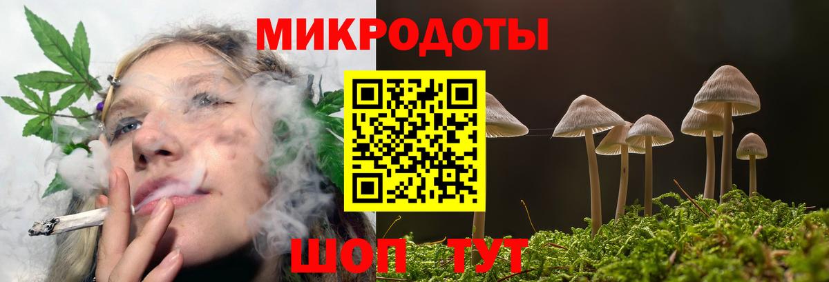 Галлюциногенные грибы Cubensis Александров