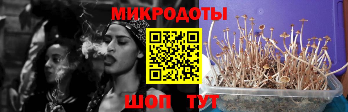 Александров  купить  сайты  Вход с VPN  Галлюциногенные грибы Magic Shrooms 